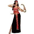 The Snake Charmer Costume